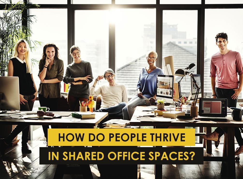 How Do People Thrive in Shared Office Spaces?