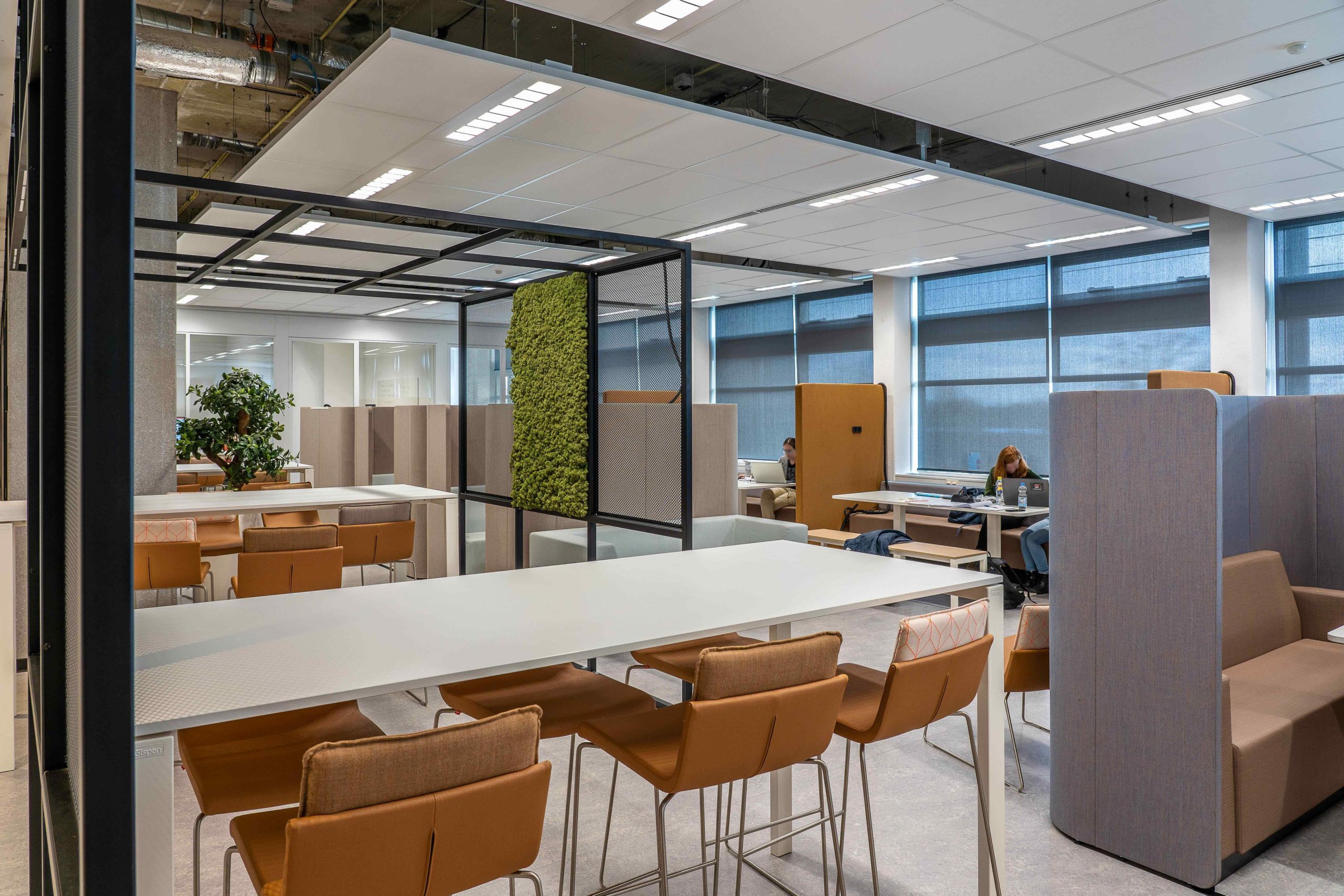 Transform Your Workspace: Customized Offices that Inspire